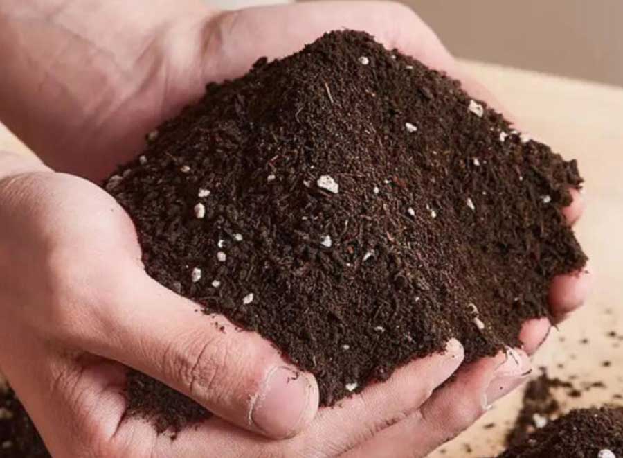 利用臭氧对土壤基质的消毒